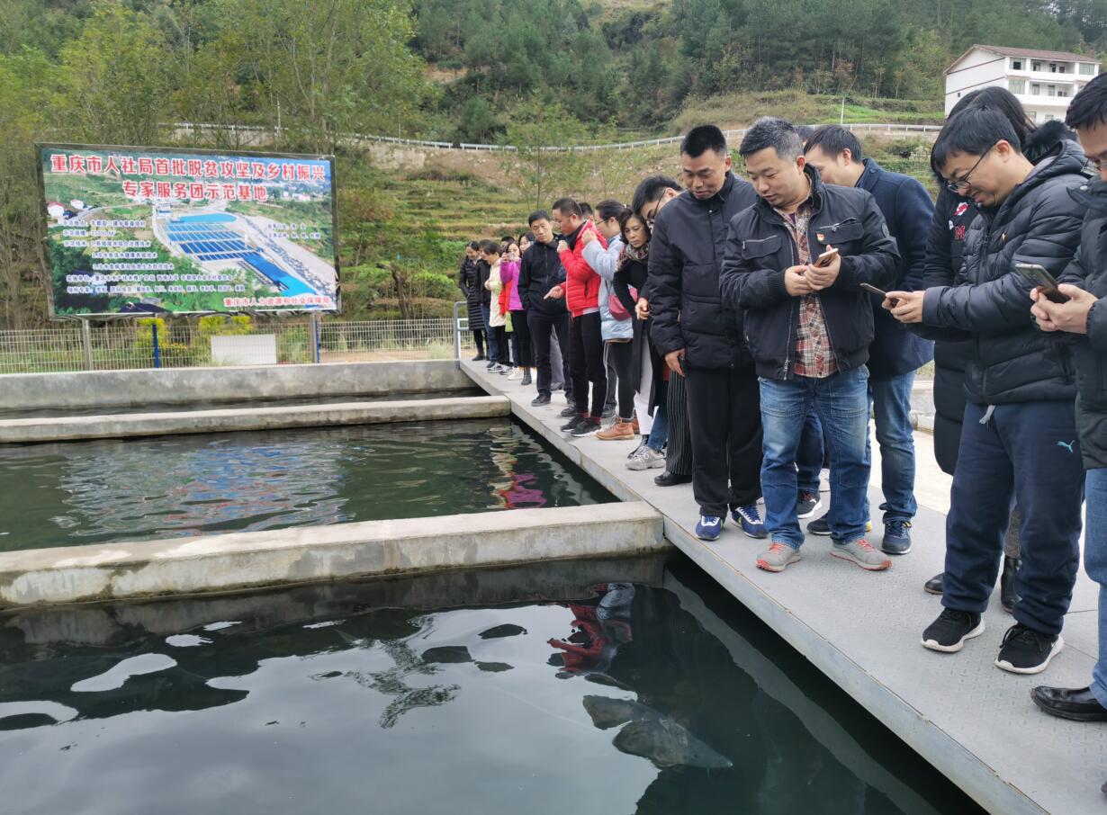 pa视讯官方集团