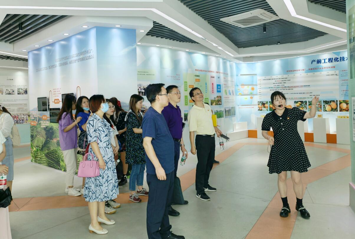 pa视讯官方集团