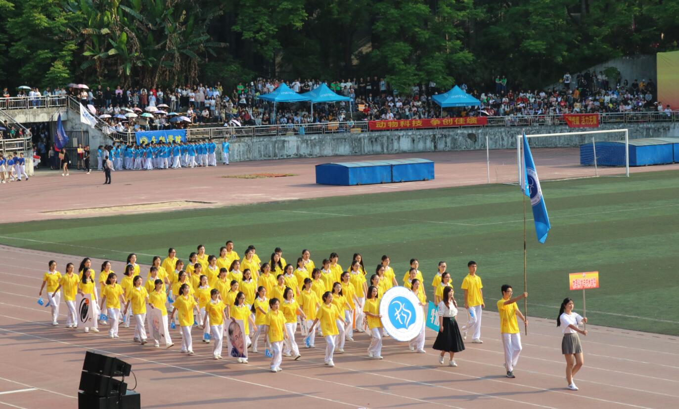 pa视讯官方集团