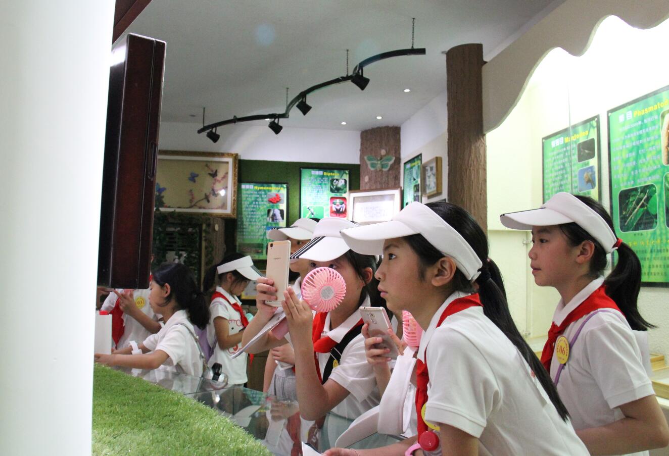 pa视讯官方集团