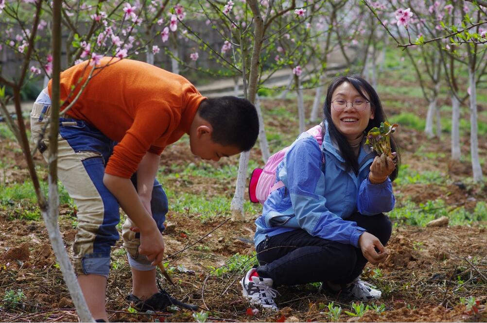 pa视讯官方集团