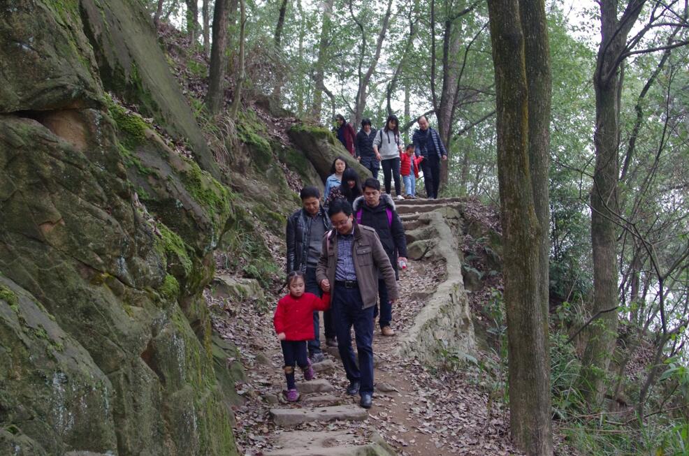 pa视讯官方集团