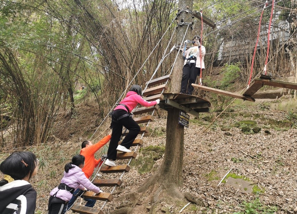 pa视讯官方集团