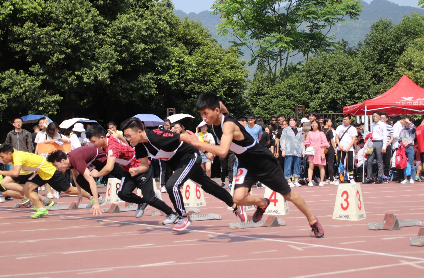 pa视讯官方集团