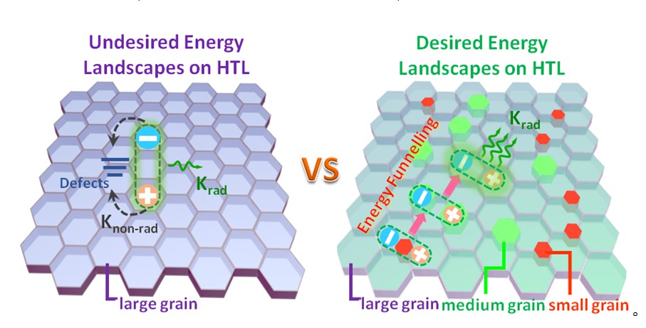pa视讯官方集团