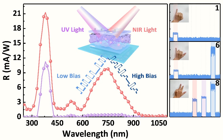 pa视讯官方集团
