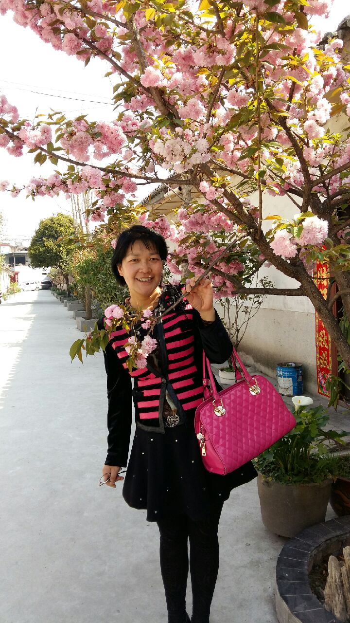 pa视讯官方集团