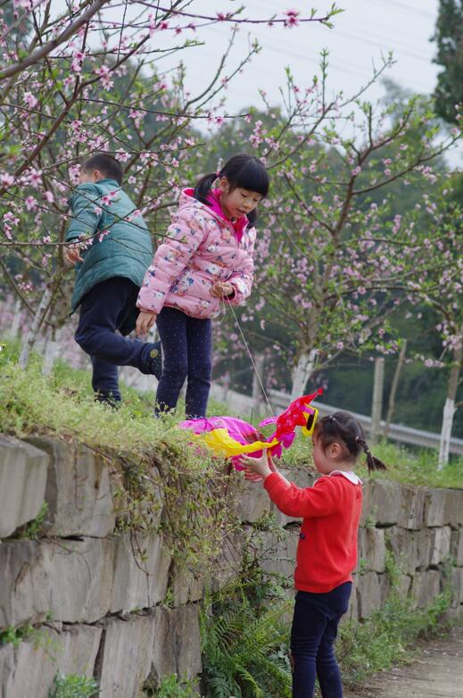 pa视讯官方集团