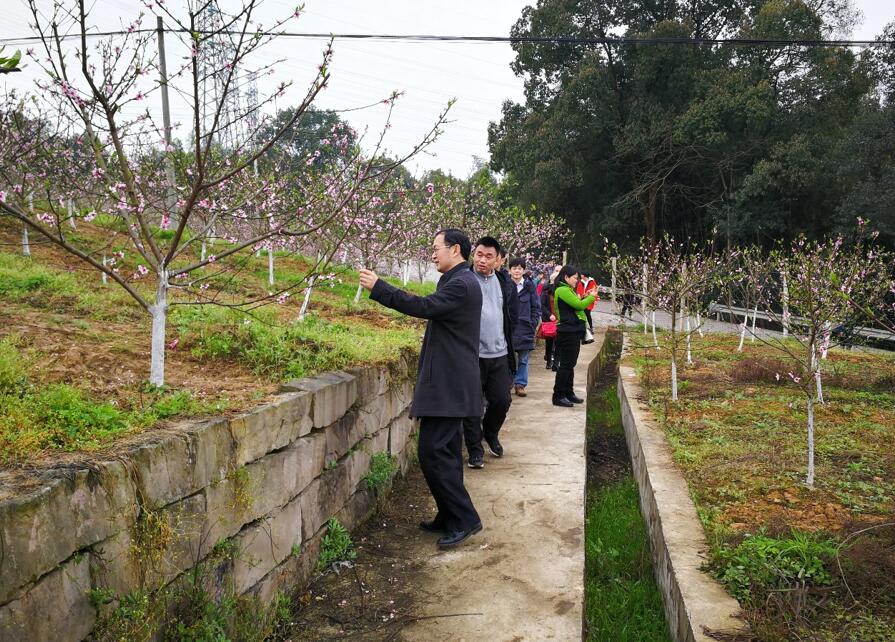 pa视讯官方集团