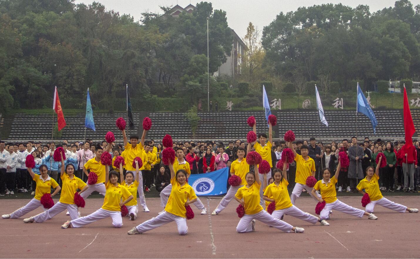 pa视讯官方集团