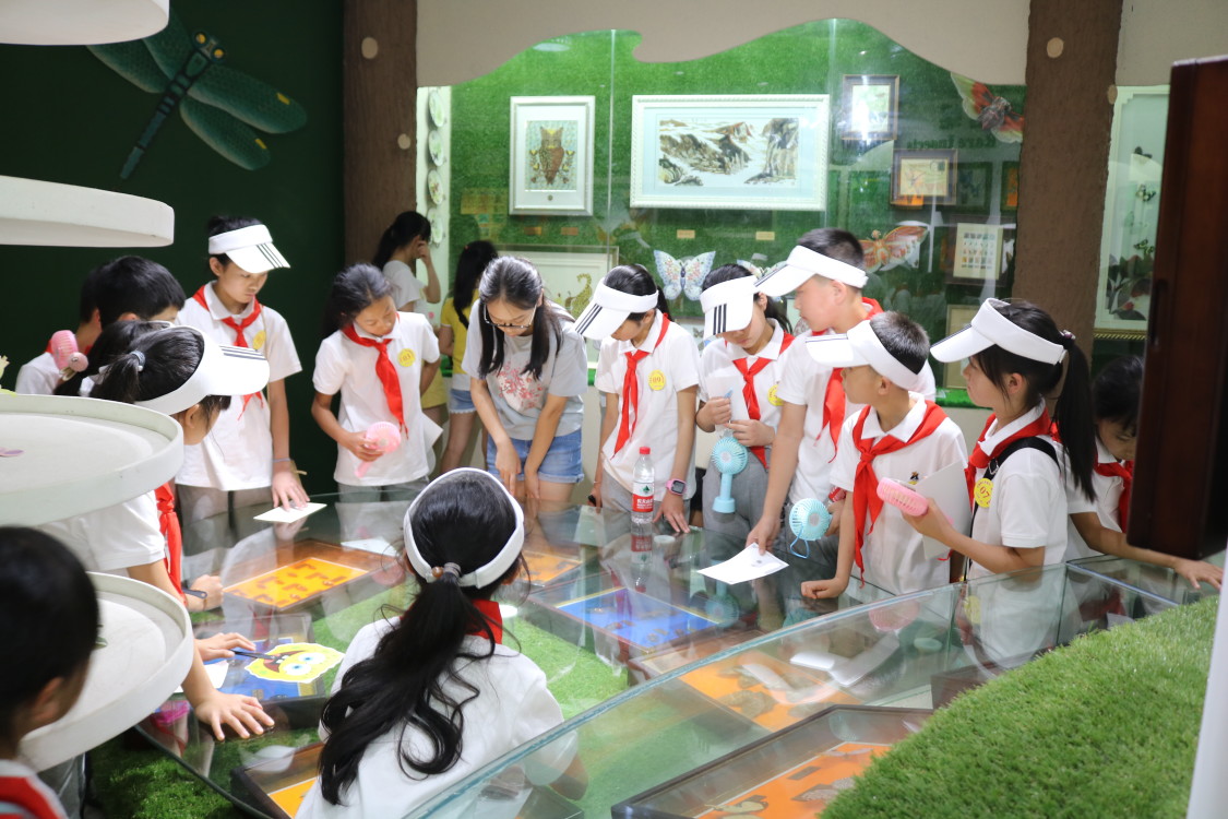 pa视讯官方集团