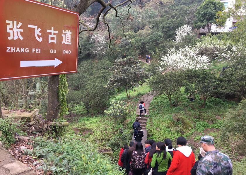 pa视讯官方集团